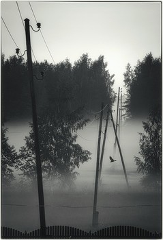 уматупцы / 2012