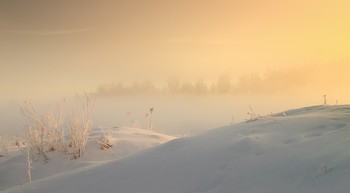 Зимние травы / Зимние туманы.