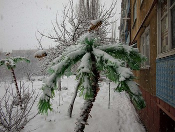 ухх / Ухх