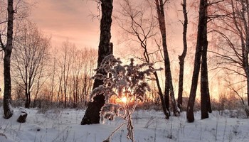 Зимнее вечернее солнце / Зимнее вечернее солнце