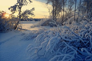 солнцеснег. январь 2019 / music: Nils Frahm - More
https://www.youtube.com/watch?v=gH2IVFKAx9M