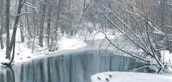 Зима на прудах в Кузьминках... / Незамерзшие пруды...