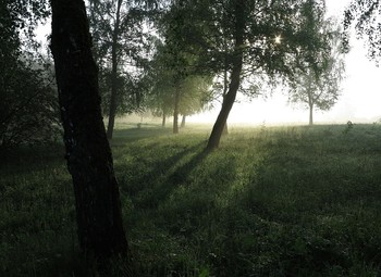 Солнечный проблеск / И сквозь туман пробилось солнце...