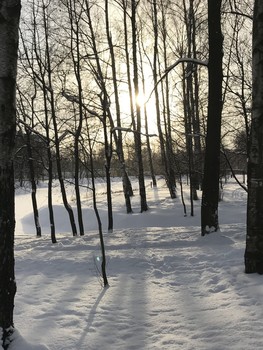 Солнечный проблеск / Удельный парк.