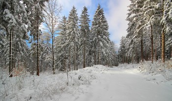 Первый луч солнца / После снегопада