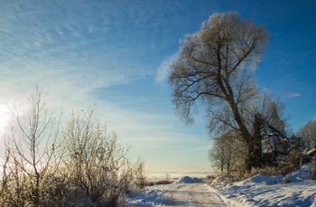 один день зимы / пейзаж со сломанным деревом