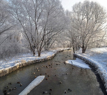 Чертановка / Чертонавка, Чертона, Черкасовский ручей, Водянка, Беляевская речка
Впервые название реки упоминается в писцовой книге 1627—1628 годов.
Исток — около станции метро «Тёплый Стан», большую часть протекает в подземном коллекторе ,после Каспийской улицы и Курской железной дороги выходит на поверхность и через 420 м впадает в Нижний Царицынский пруд