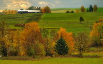 По осеннему.. / Осенний пейзаж в ноябре . Этюд.