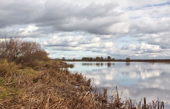 осенний мотив / ***