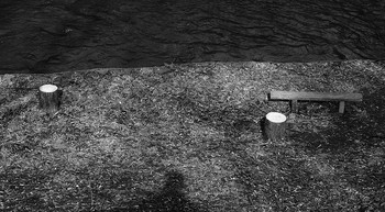 Дневник памяти / ***