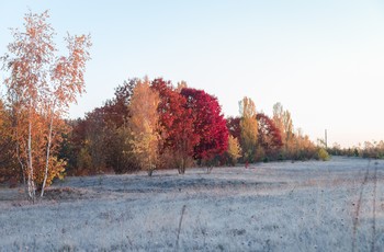 Осенний колорит / Осенний рассвет или буйство красок осенью