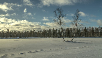 &nbsp; / гатчинский парк