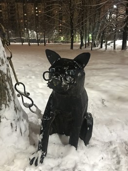 Черным по белому / Кот учёный в Приморском районе в С-Пб.