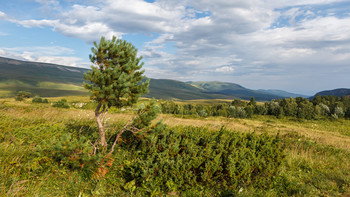 &nbsp; / Кавказ, плато Лаго-Наки.