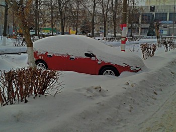 Про городские &quot;подснежники&quot;. / Мобильное фото.