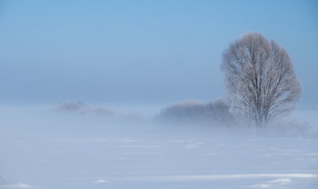 Туман в поле. / Зимний солнечный день.