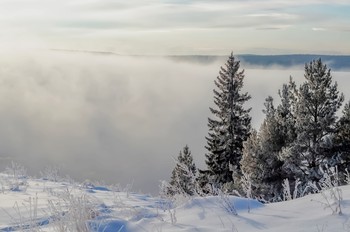 утренняя фоточка / Город Нижняя Тура, 22 января 2019 года от Р. Х.