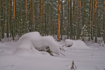 СНЕЖНЫЕ ЗАНОСЫ В ЛЕСУ / Снежные зарисовки в лесу.