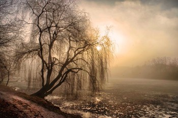 солнце в тумане.. / Конец зимы.Утро на озере.Туман.Солнце встало...