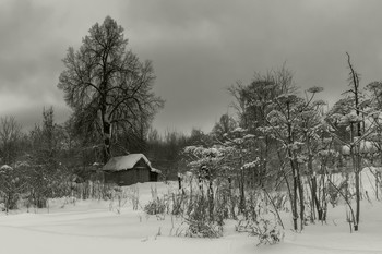 Домик одинокий / Январь