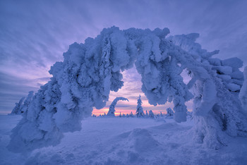 Ворота Зефирной страны... / Уже можно планировать поездку в Финляндию на Рождество 2020 года
В Шотландию в апреле есть одно место
Все подробности туров на сайте http://phototourtravel.ru/