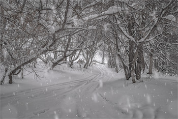 Снег в январе / Где то в Тульской области