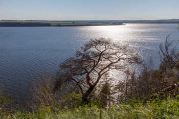 Солнечный день / Самарская обл.
Место впадения реки Уса в Волгу.