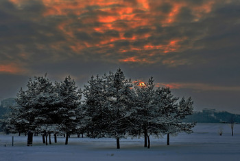 Вечерело-и небо зажглось.. / снег,деревья,закат.
