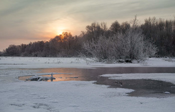 Рассвет зимой / зима,рассвет,река,мороз