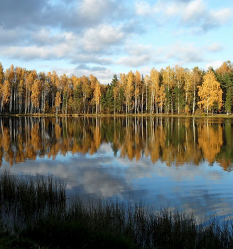 На закате.......... / Петербург-Юкки. Октябрь