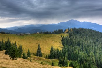 Там, на полонине / Вид в направлении г. Говерла с полонины Григоревка (Карпаты). 19 октября 2018 г.

Еще несколько фото этого дня:

[img]https://i.imgur.com/EUGzPBv.jpg[/img]

[img]https://i.imgur.com/8TGsVnr.jpg[/img]