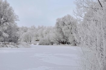 Заиденевелая природа / Заиденевелая природа