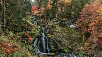 Водопад Триберг (Triberger Waterfall) / Семикаскадный водопад Триберг в одноименном городке в Шварцвальде считается самым высоким в Германии. Общая высота падения его вод, которые сюда приносит река Гутах, – 163 метра. Вдоль потока водопада устроено несколько смотровых площадок, а с наступлением темноты Триберг подсвечивается. Самый впечатляющий вид на водопад открывается, безусловно, снизу, зато с верхних площадок хорошо виден городок Триберг.