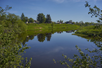 Река Сестра. / Река Сестра. Деревня Нижние Выселки, Тверская область.