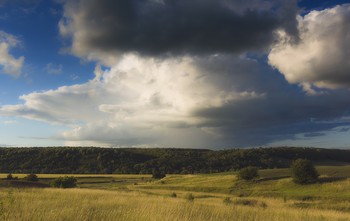 Русское раздолье / Предгрозовой вечер.