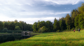 Теплый вечер. / Павловский парк. Июнь.
