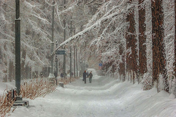 Зимой на аллее парка. / Парк Сокольники.