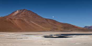 Восход Луны над Белой Лагуной / Высокогорное плато Альтиплано, Боливия