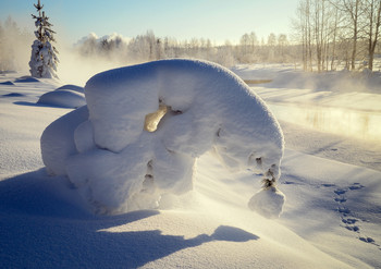 Снежный зверь / Зимнее настроение