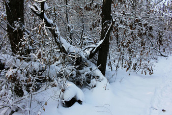 &quot;Много снега бывает&quot; / &quot;Много снега бывает&quot; очень редко в Ростове-на-Дону 2019г