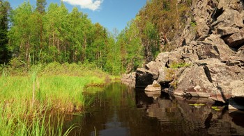 Тихая заводь. / Онежское озеро, Уницкая губа.