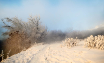 Морозная стёжка- дорожка / Январские туманы.