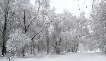 Все в снегу! / Прогулка в парке