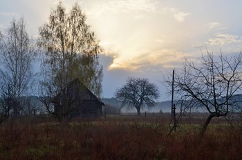 утро / деревня