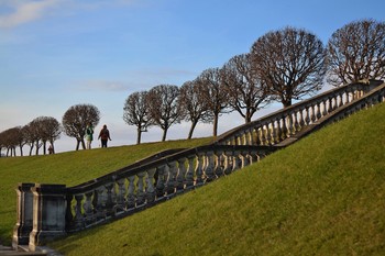 Об ушедшем... / Ноябрь 2013. Старые деревья на валу