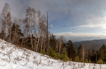 Красноярск. Бобровый лог. / Красноярск. Бобровый лог.