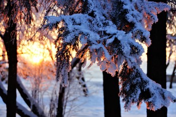 Морозный вечер / Сибирь