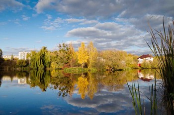 осень / Осенний пейзаж