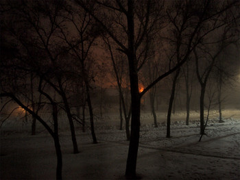 Ночное... / Февральское...