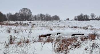 Февраль морозит / Февраль морозит